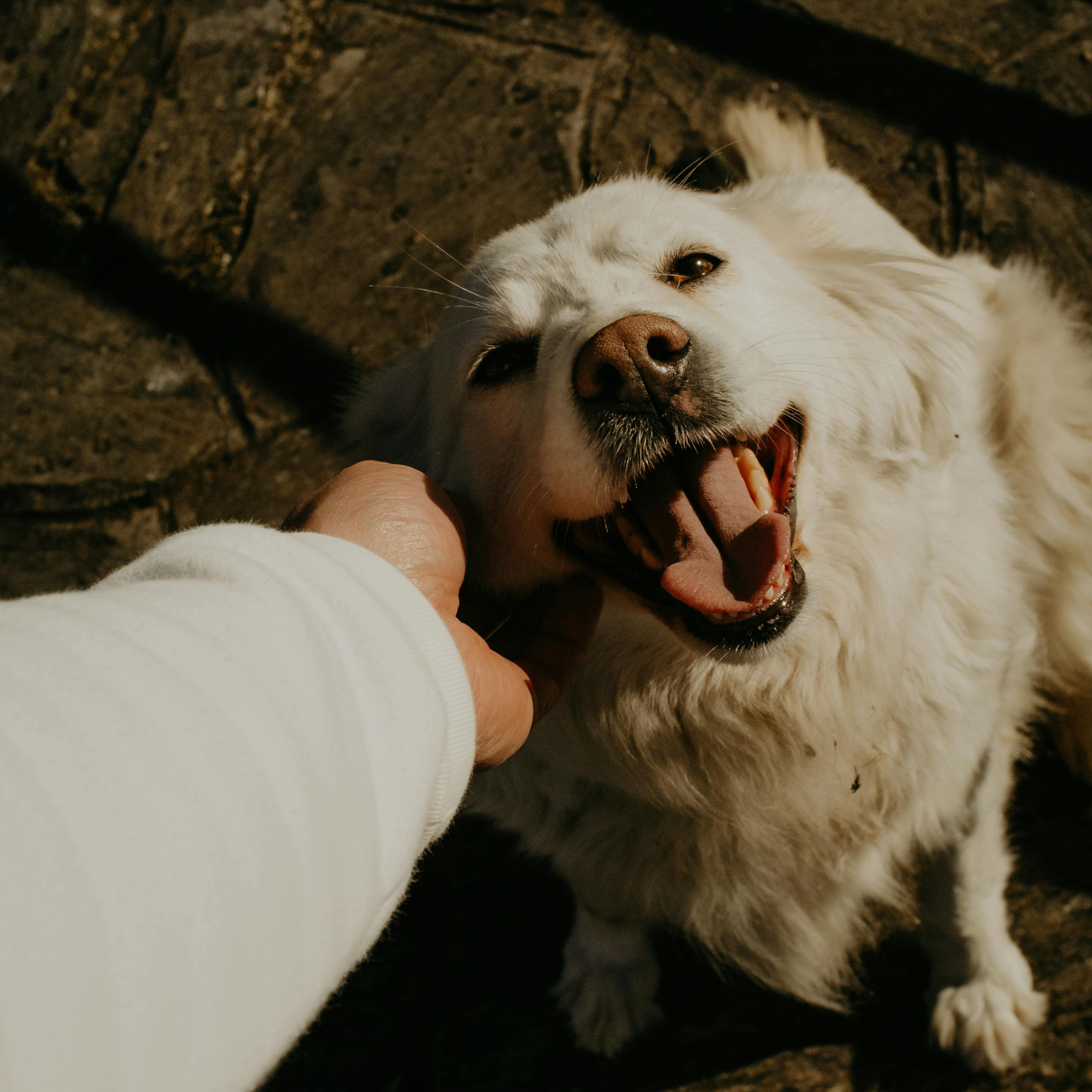 Travel, Safety & Training