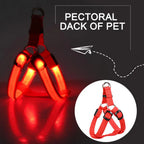LED light Pet Harness