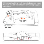 Dog Bed Extra Large Orthopedic