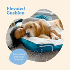 Orthopedic Dog Bed for Medium Dogs