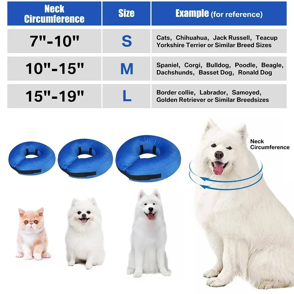 Protective Collar for Dogs or Cats After Surgery