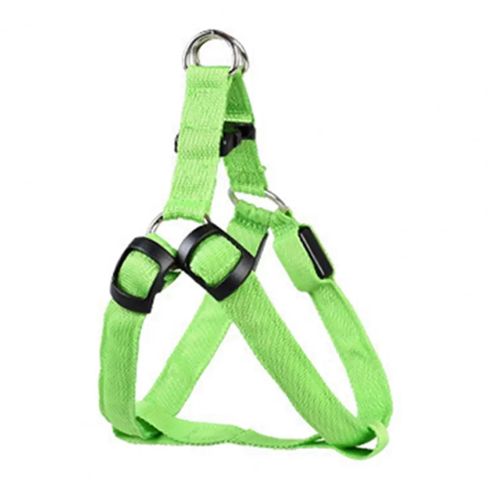LED light Pet Harness