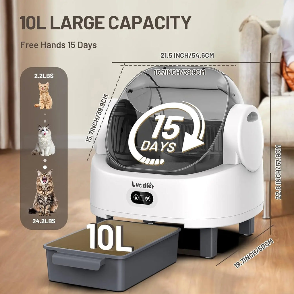 Automatic Litter Box