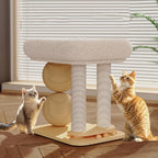 Cat Climbing Frame with Sisal Ball