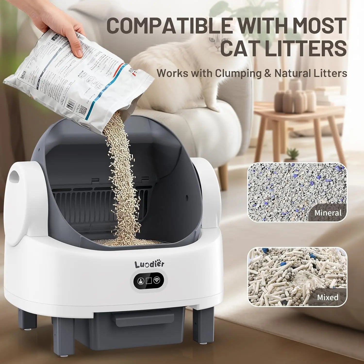 Automatic Litter Box