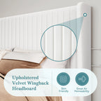 Velvet Upholstered Bed Frame with backboard