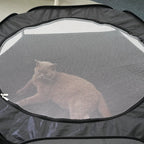 Small Animal Tunnel Cage, 2-in-1