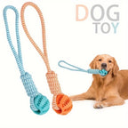 Dog Treat Ball, Chew Resistant Rope Toy