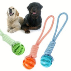 Dog Treat Ball, Chew Resistant Rope Toy