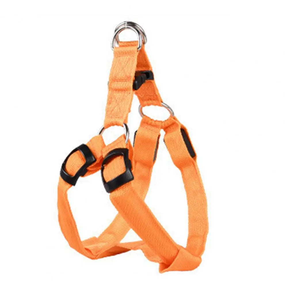 LED light Pet Harness