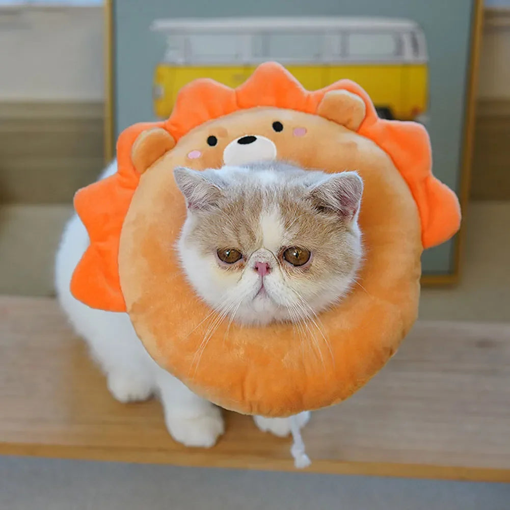 Pet E-Collar Recovery Cone