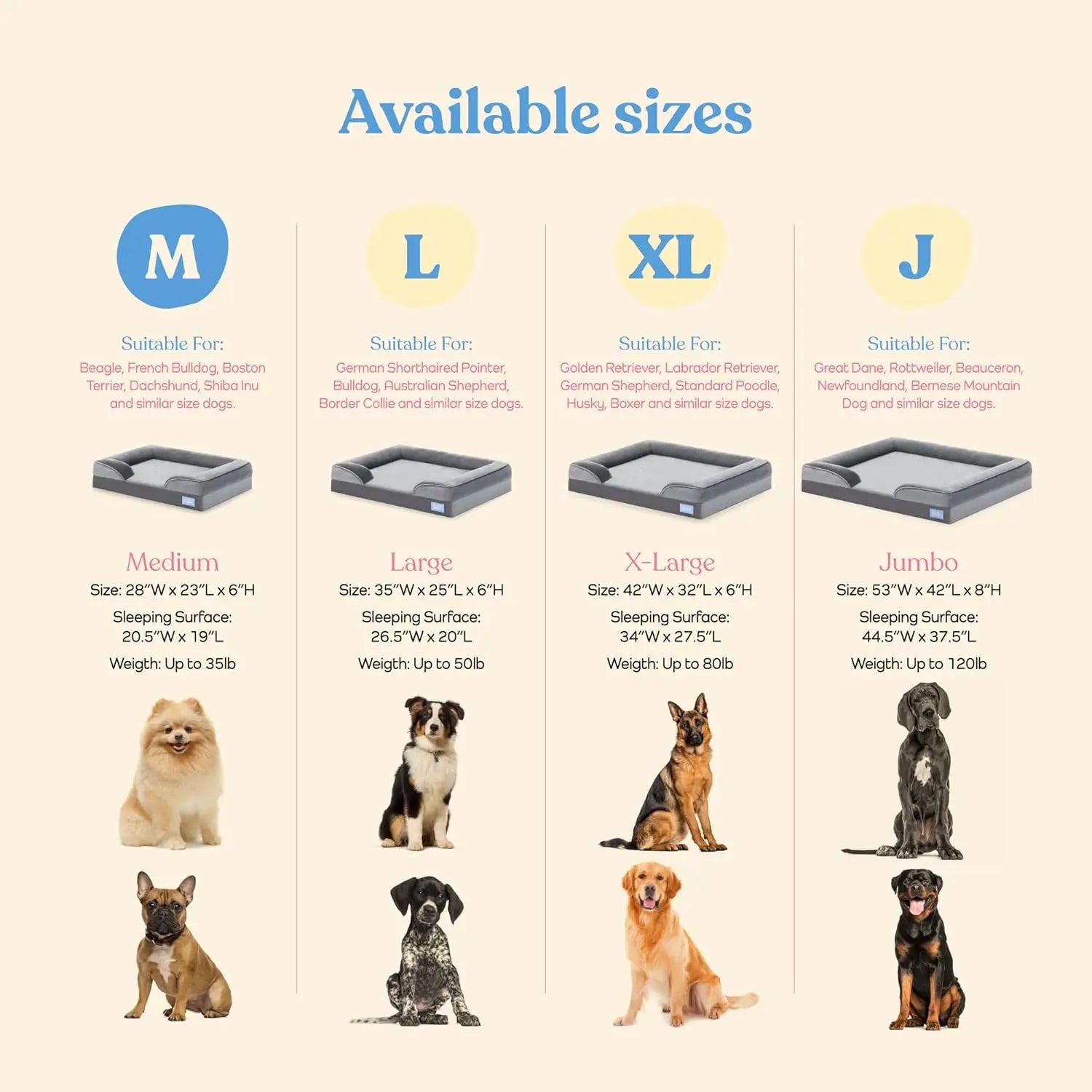 Orthopedic Dog Bed for Medium Dogs