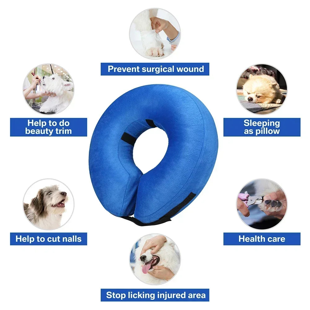 Protective Collar for Dogs or Cats After Surgery