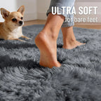 Washable Shaggy Area Rug