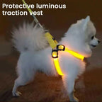 LED light Pet Harness