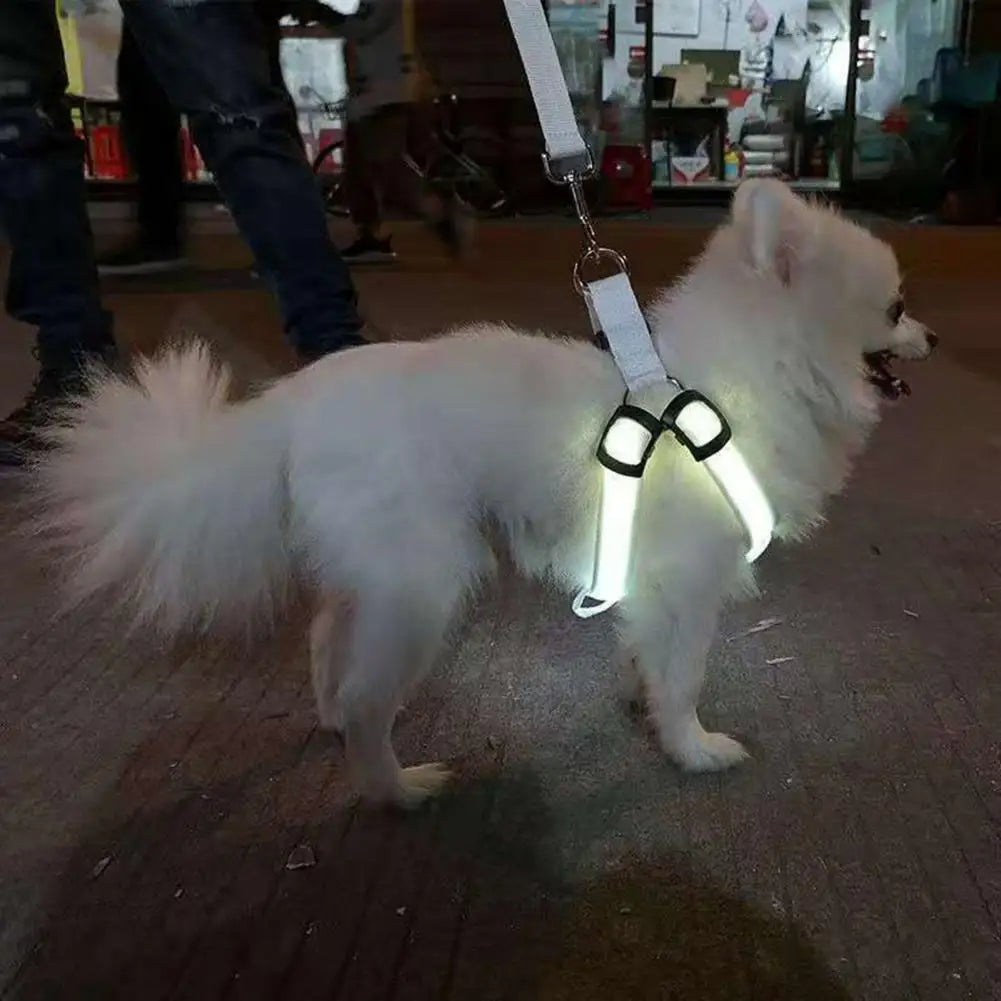 LED light Pet Harness