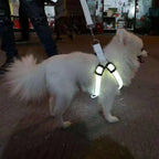 LED light Pet Harness