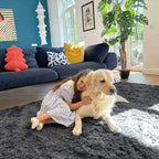 Washable Shaggy Area Rug