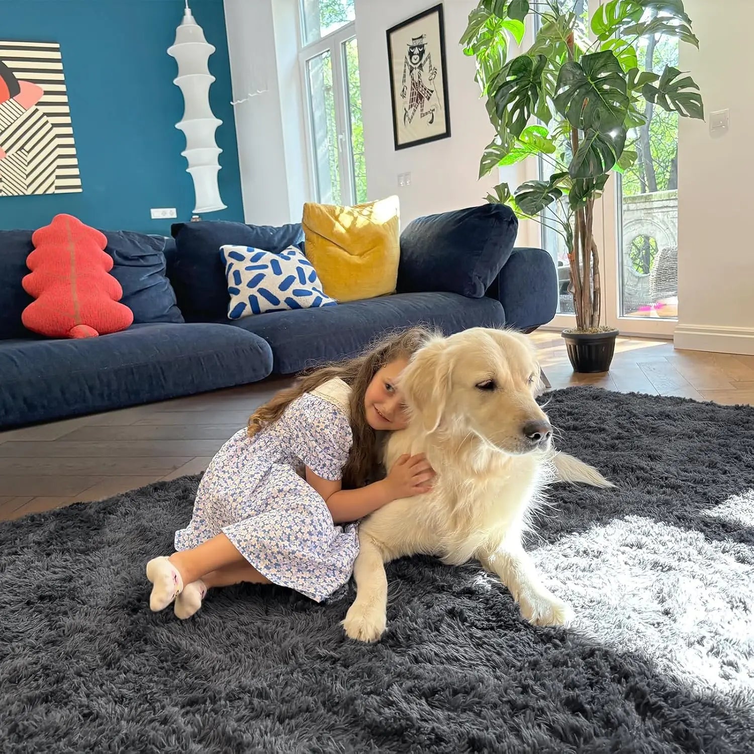 Washable Shaggy Area Rug