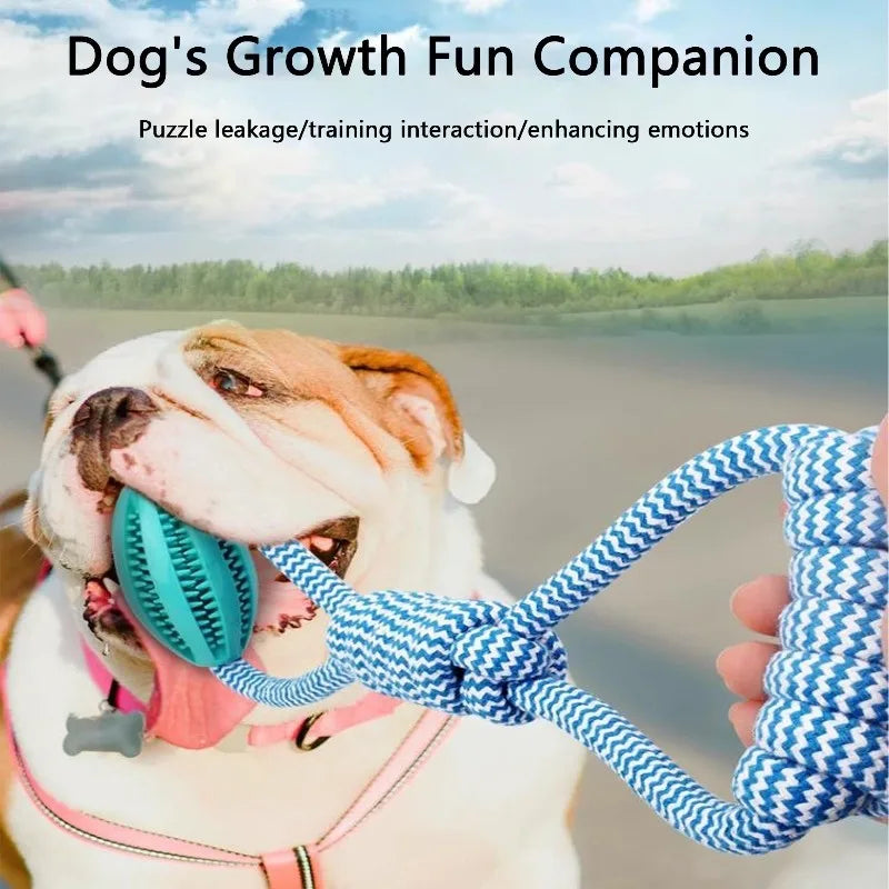 Dog Treat Ball, Chew Resistant Rope Toy