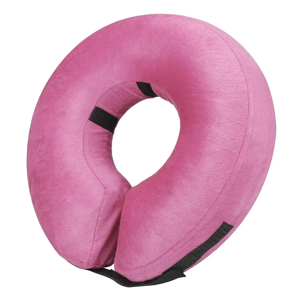 Protective Collar for Dogs or Cats After Surgery