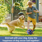 Dog Soccer Ball with Straps