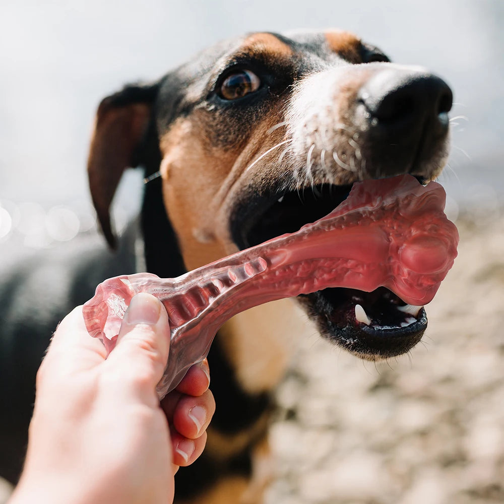 Bone-Shaped dog toy