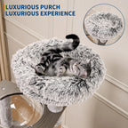 Multi-Level Cat Tree Tower with Enclosed Litter Box