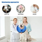 Protective Collar for Dogs or Cats After Surgery