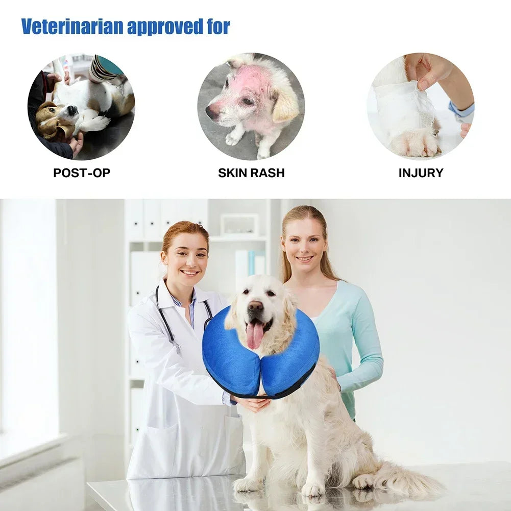 Protective Collar for Dogs or Cats After Surgery