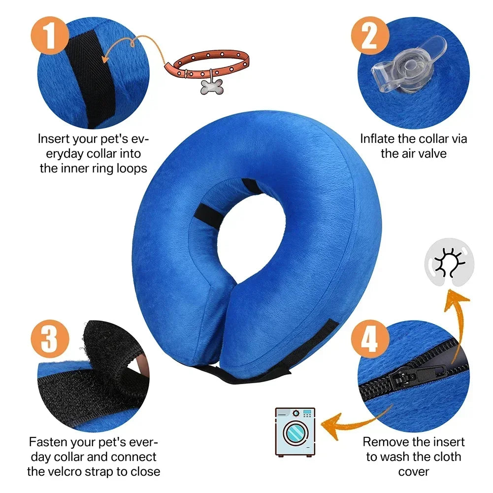 Protective Collar for Dogs or Cats After Surgery