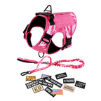 Large/Medium Dogs Harness