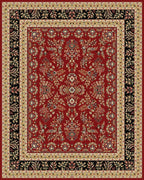 Traditional Oriental Area Rug