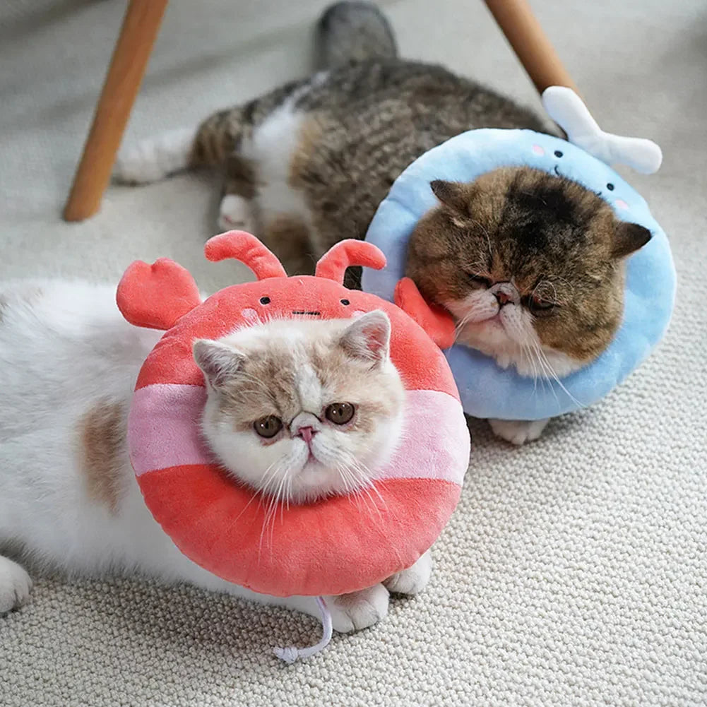 Pet E-Collar Recovery Cone