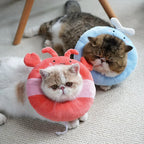 Pet E-Collar Recovery Cone