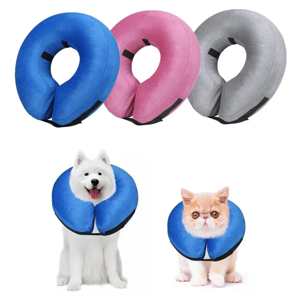 Protective Collar for Dogs or Cats After Surgery