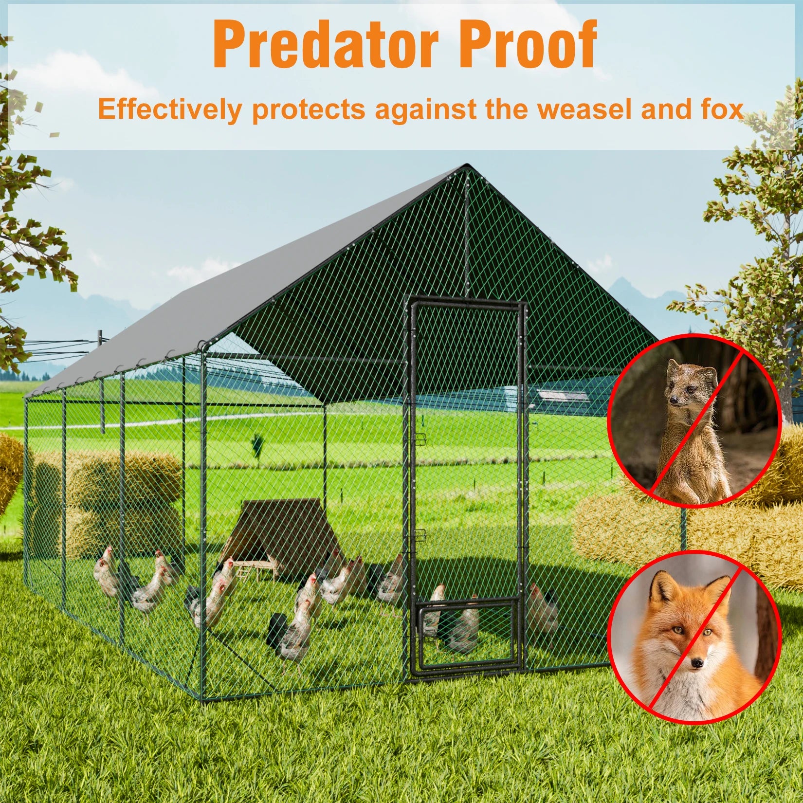 Large Outdoor Metal Chicken Coop