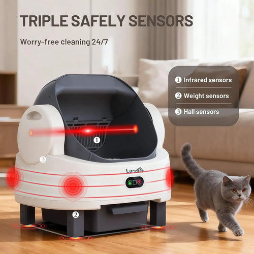 Automatic Litter Box