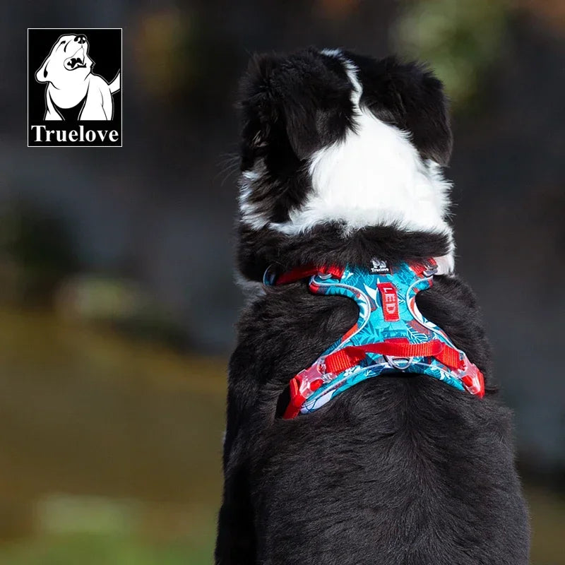 Pet Dog Harness