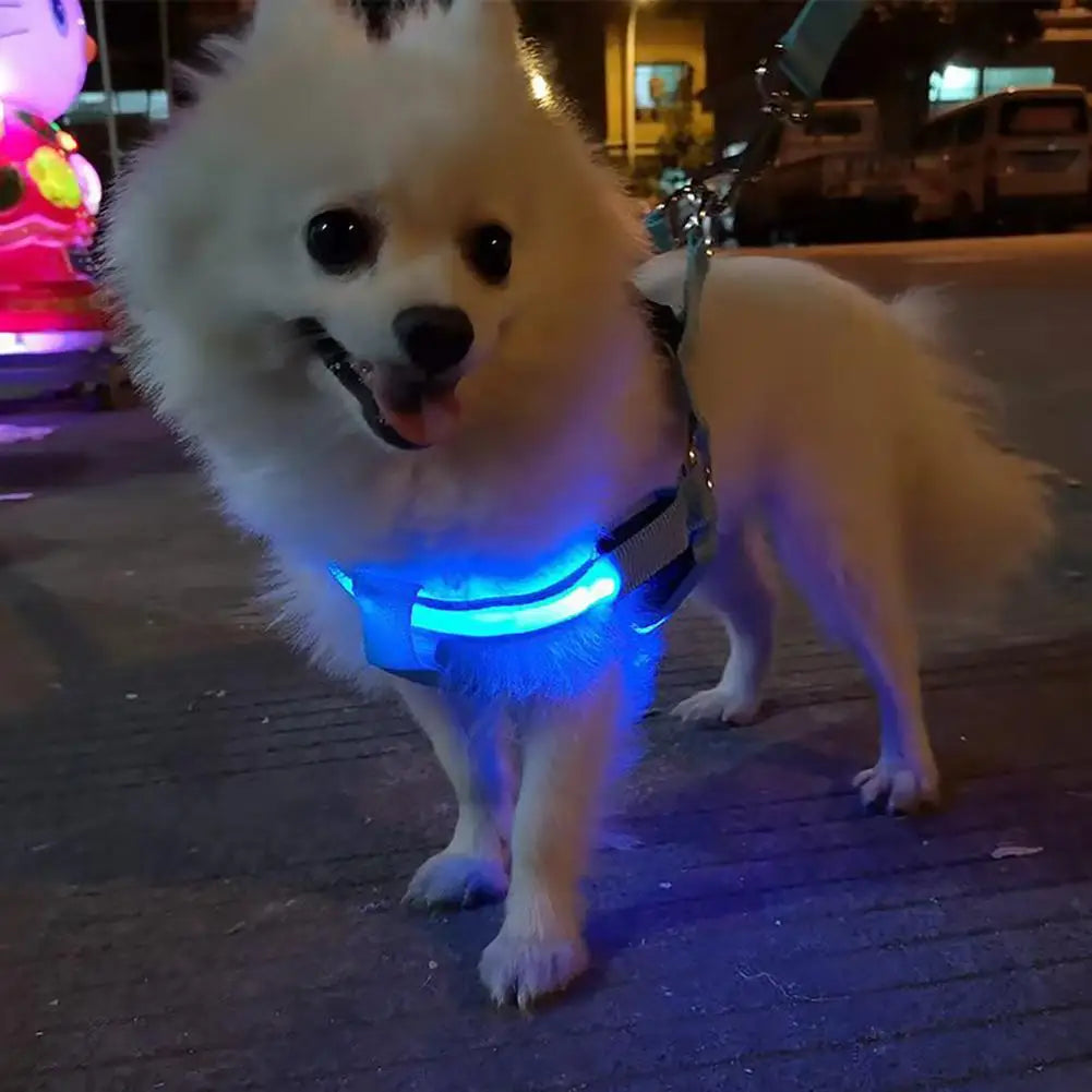 LED light Pet Harness