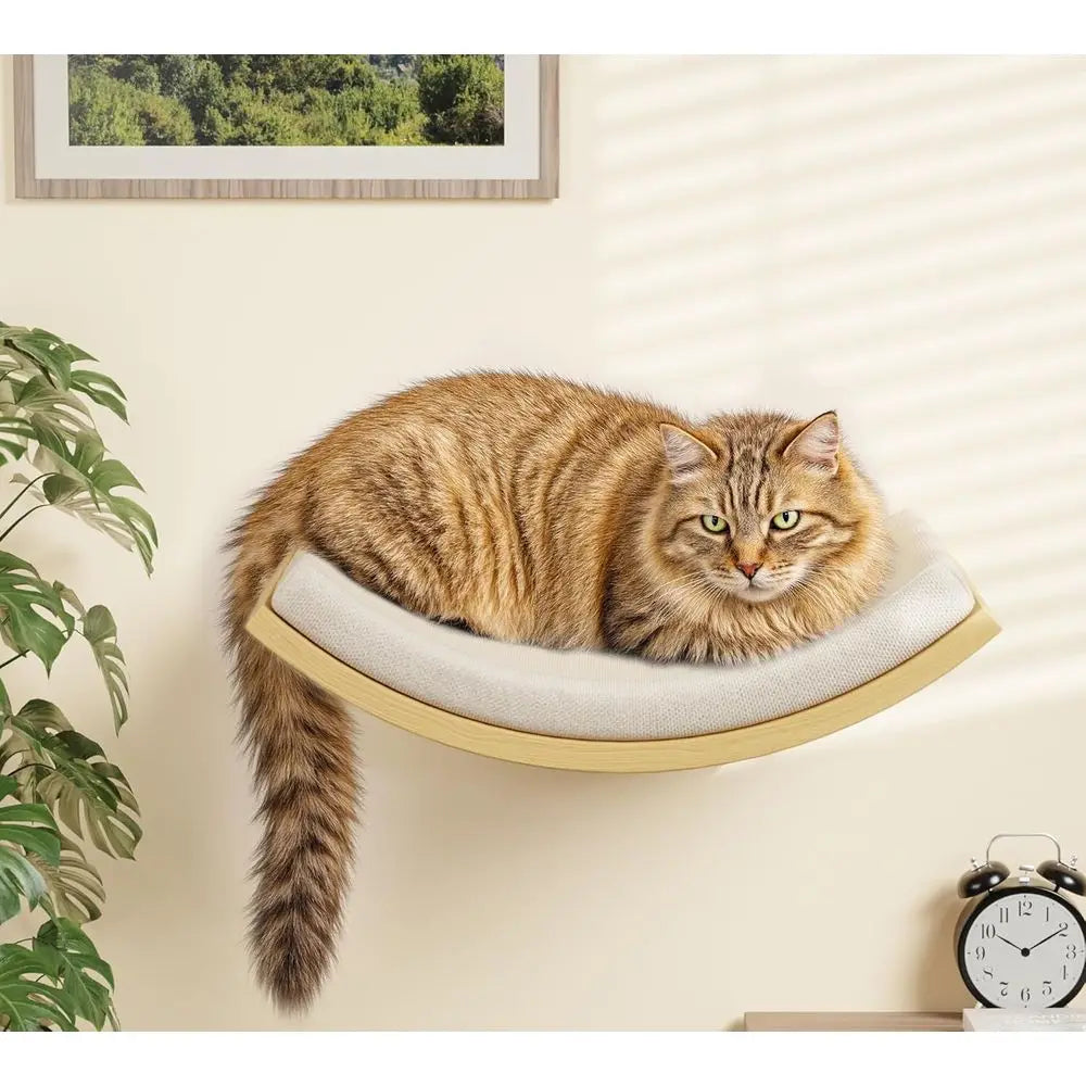 4-Piece Wooden Cat Climbing Furniture Set wall mounting