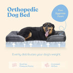 Orthopedic Dog Bed for Medium Dogs