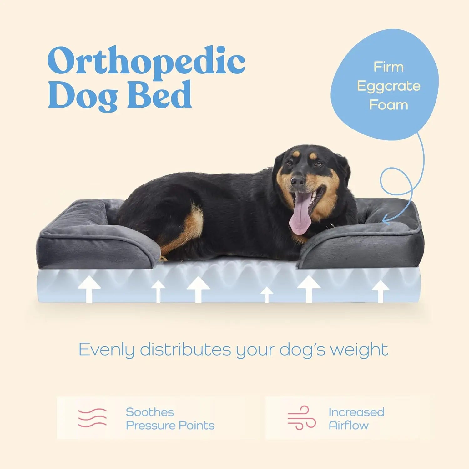 Orthopedic Dog Bed for Medium Dogs